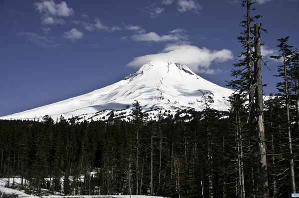 Mount Hood — Stockfoto