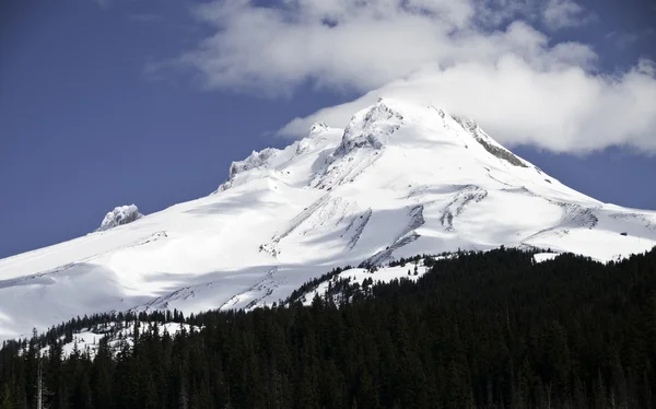 Крупним планом Mount Hood — стокове фото