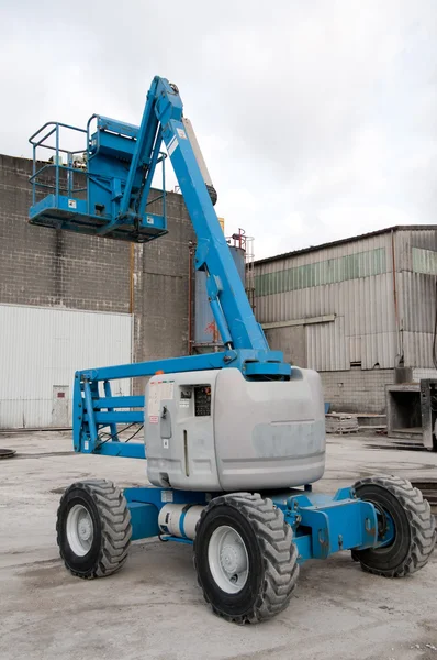 stock image Blue Crane