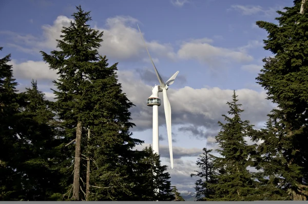 stock image Wind turbine in amongst the trees