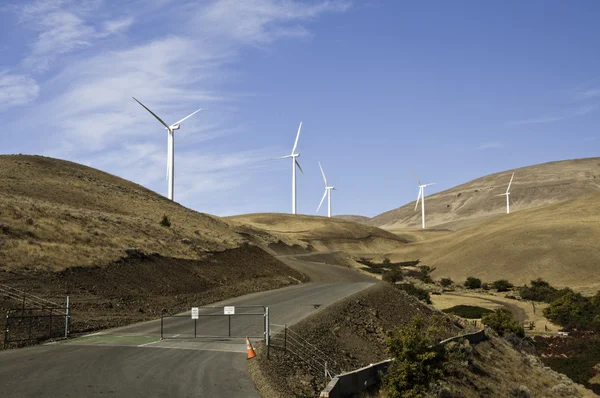 Entrance to Wind Turbines — Stock Photo, Image