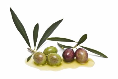 Olives and oil. clipart