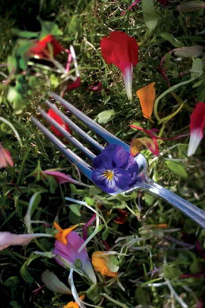 Flor comestible en un tenedor Fotos De Stock Sin Royalties Gratis
