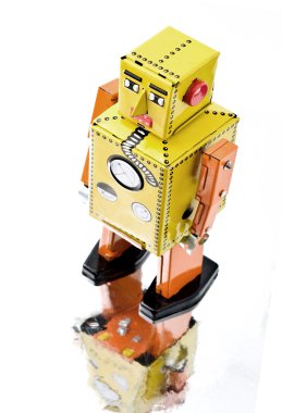 Robot