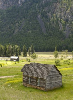 Rustic Cabin in Rural Setting clipart