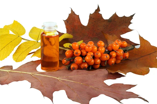 stock image Medical oil from sea-buckthorn berries