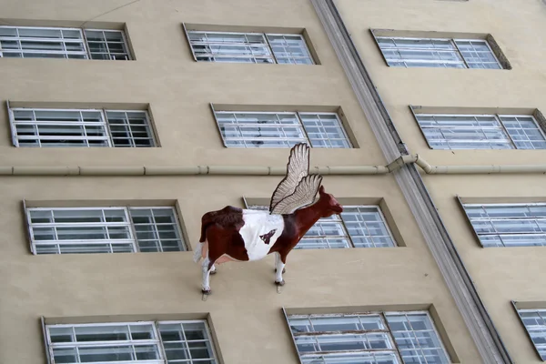 Kuh an einer Hauswand — Stockfoto