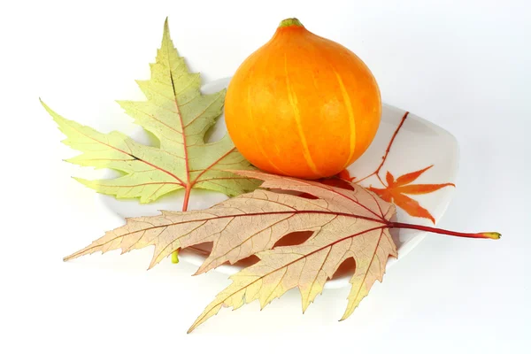 Small pumpkin and maple leaves — Stock Photo, Image