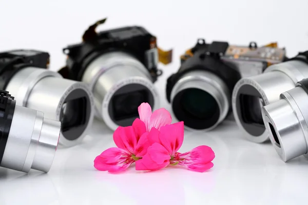 Flor e objetivos de c compacto — Fotografia de Stock