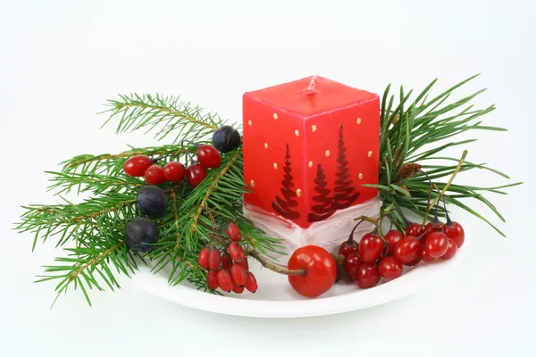 나무 딸기와 함께 크리스마스 구성 — 스톡 사진