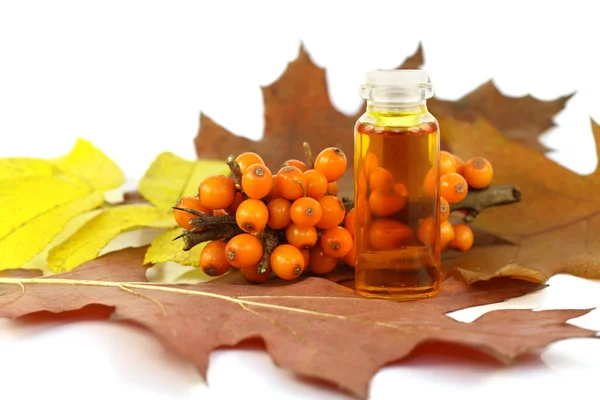 Sea-buckthorn berries and medical oil — Stock Photo, Image