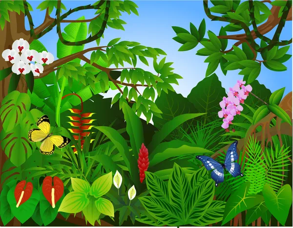 Hermoso bosque tropical — Vector de stock