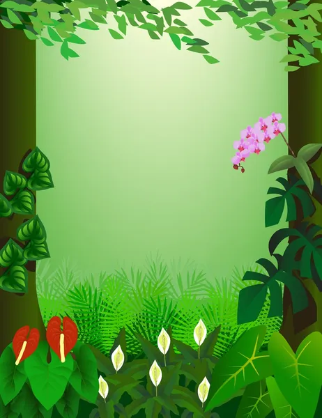 Vacker tropisk skog — Stock vektor