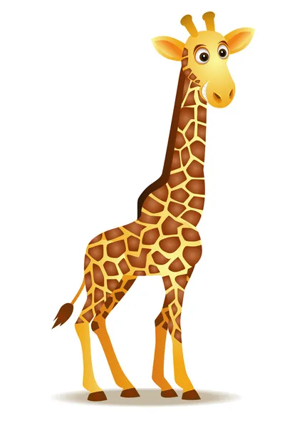 Girafa —  Vetores de Stock