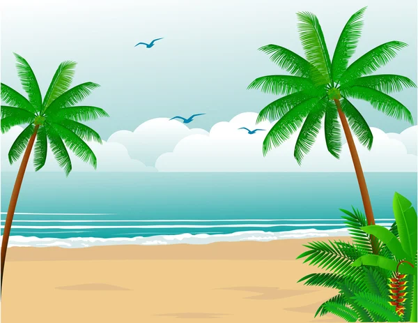 Tropik plaj — Stok Vektör