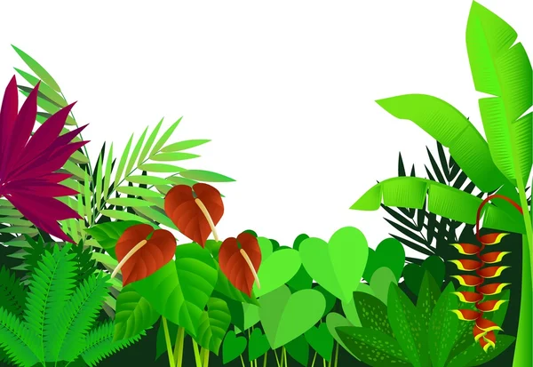 Bela floresta tropical — Vetor de Stock