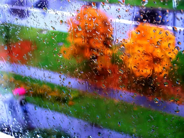 私の窓の秋 ロイヤリティフリーのストック画像