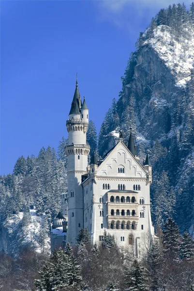 El castillo de Neuschwanstein, Fuessen, G — Foto de Stock