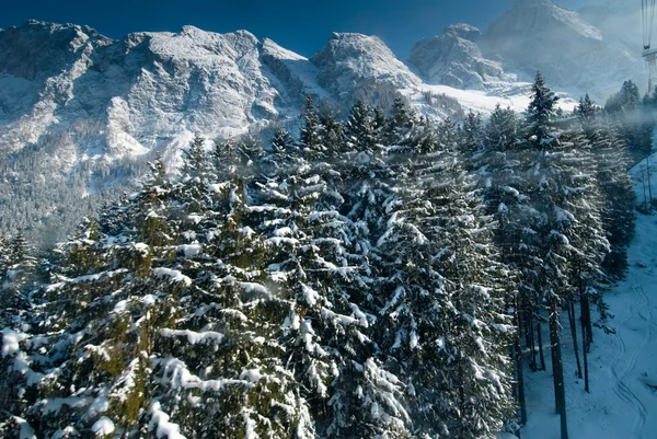 Winterlandschap in Duitsland, Meder Resort — Stockfoto
