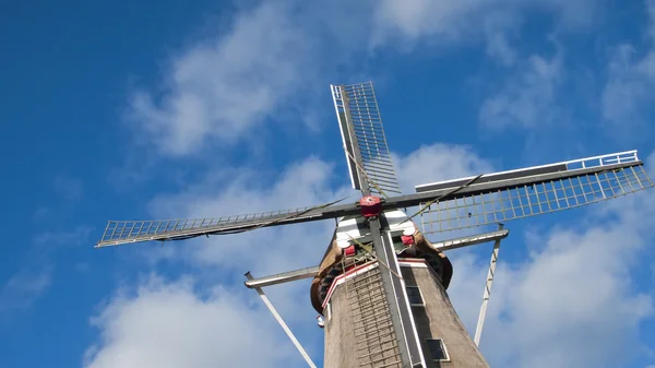 Tradicionális szélmalommal, Hollandia, — 스톡 사진