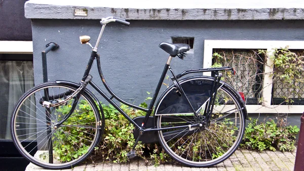 Cykel i amsterdam, Nederländerna — Stockfoto