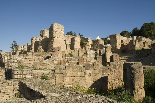 Carthago，突尼斯的废墟 — 图库照片