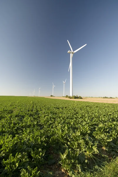 Rüzgar enerji jeneratörleri — Stok fotoğraf