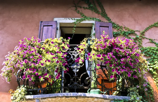 Blommor i balkong Stockfoto