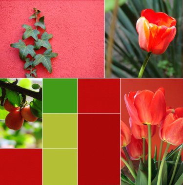 Collage of beautiful spring flowers clipart