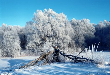 Russian cold winter clipart