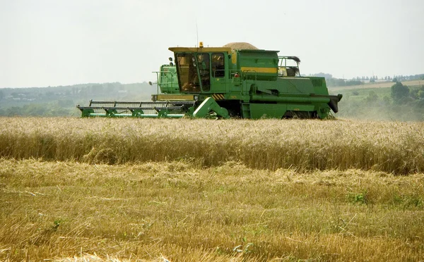 Harvester removes grains — Stock Photo, Image