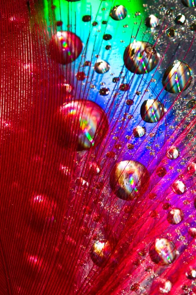 Multi-colored drops — Stock Photo, Image