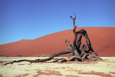 Namib Çölü