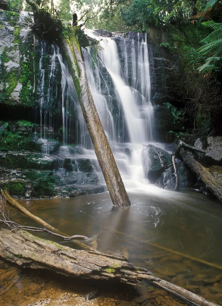 Deep forest waterfall — Stock Photo, Image