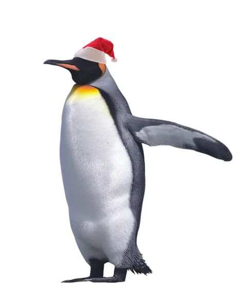 stock image Isolated emperor penguin