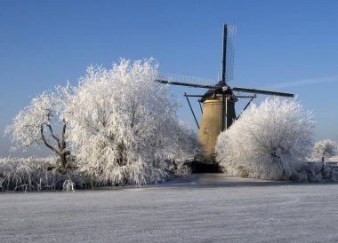Hollanda'da kış