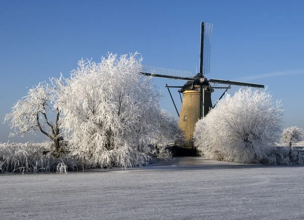 네덜란드의 겨울 스톡 이미지
