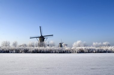 Hollandalı fabrikaları