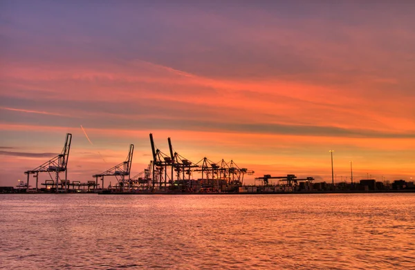 Pôr-do-sol do porto — Fotografia de Stock