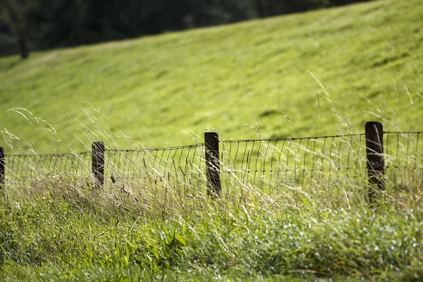 Stock image Fence in the field