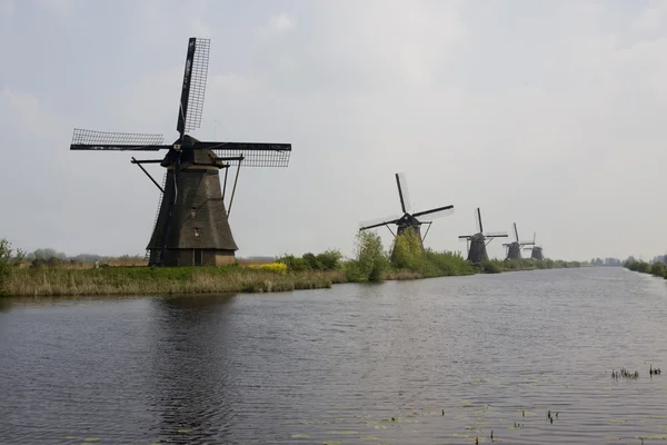 Dutch mills