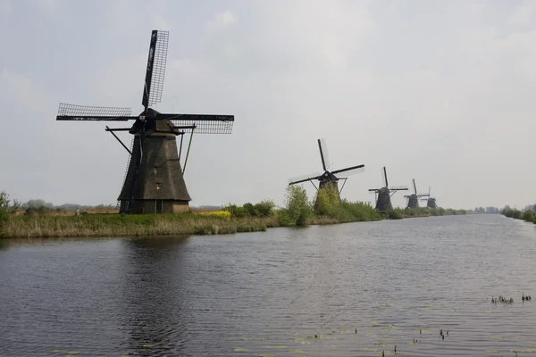 stock image Dutch mills