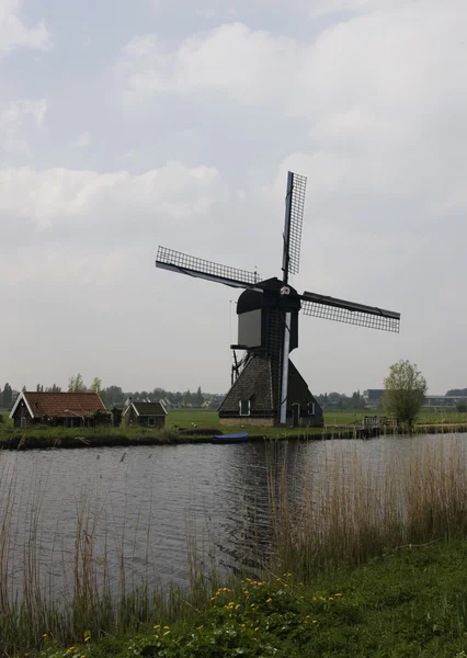 Nederlandse molens — Stockfoto
