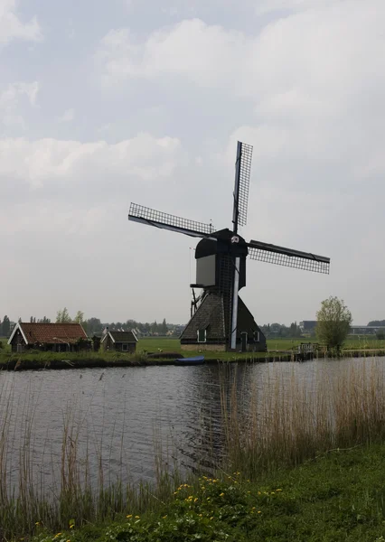 stock image Dutch mills