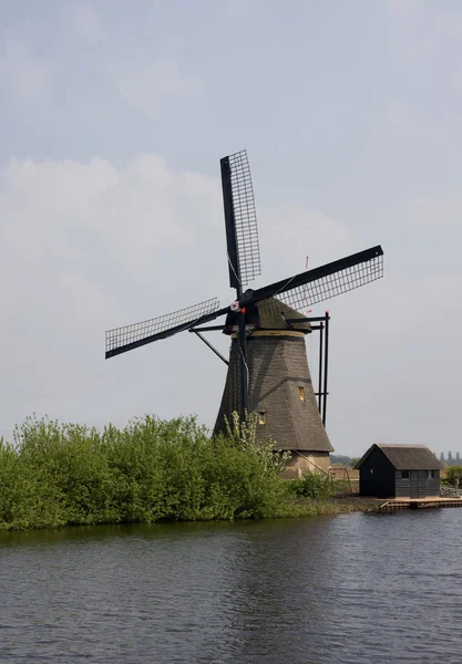 Holländische Mühlen — Stockfoto