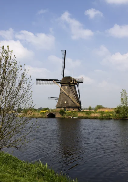 stock image Dutch mills