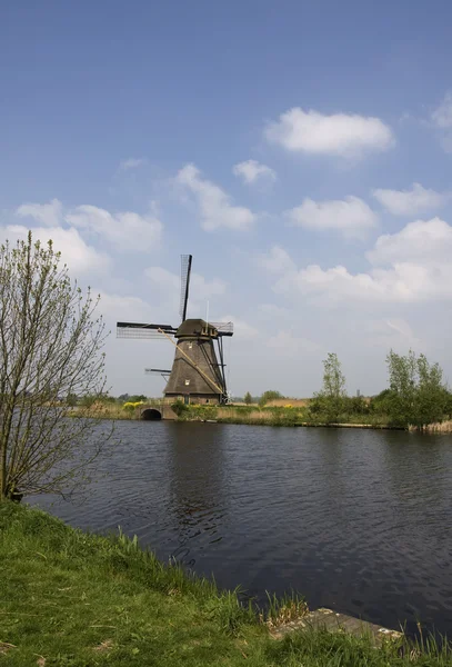 stock image Dutch mills