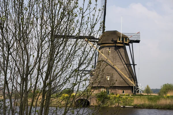 stock image Dutch mills