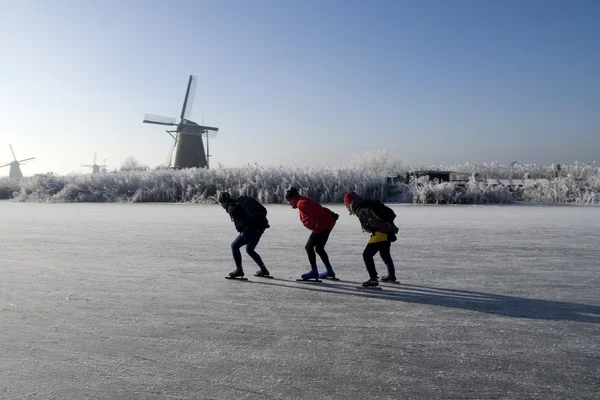 Stock image Kinderdijk