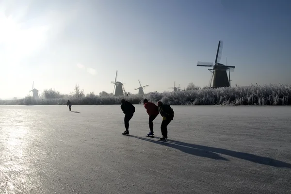 stock image Kinderdijk